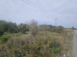 Plot - Grekodom 62617|964116