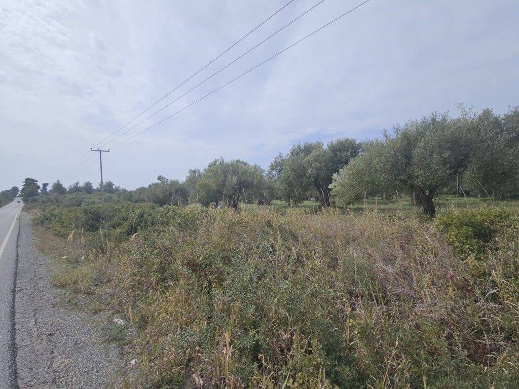 Plot - Grekodom 62617|964117