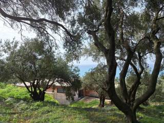 Plot - Grekodom 62632|964415