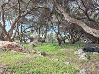 Plot - Grekodom 62632|964409