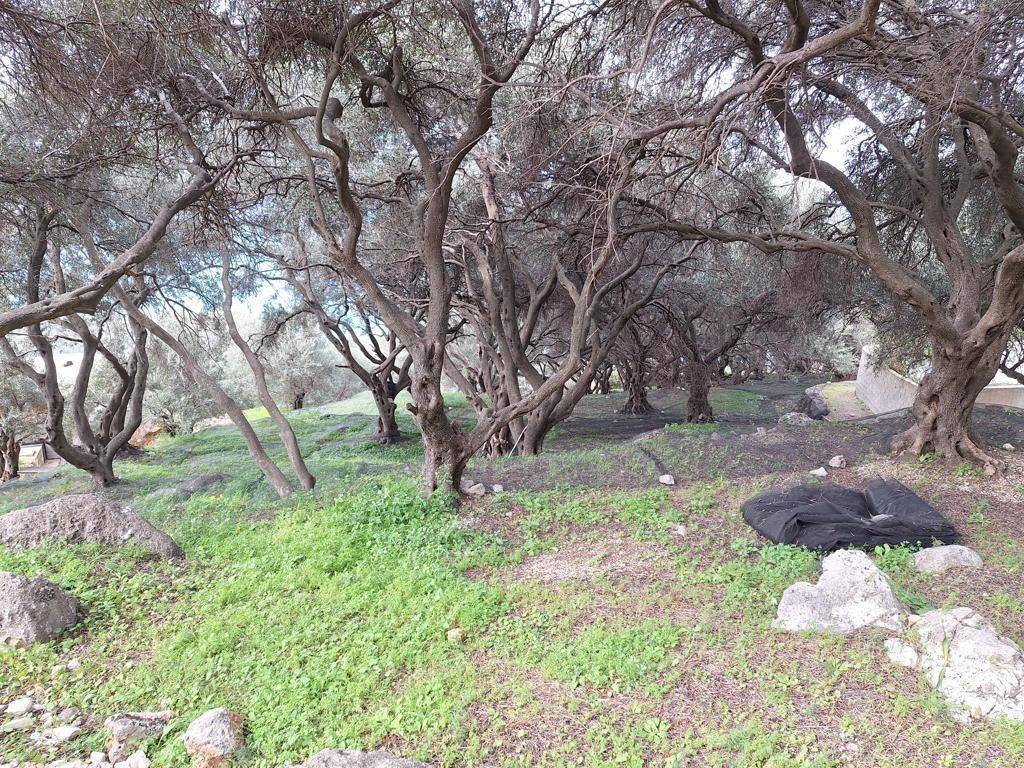 Plot - Grekodom 62632|964410