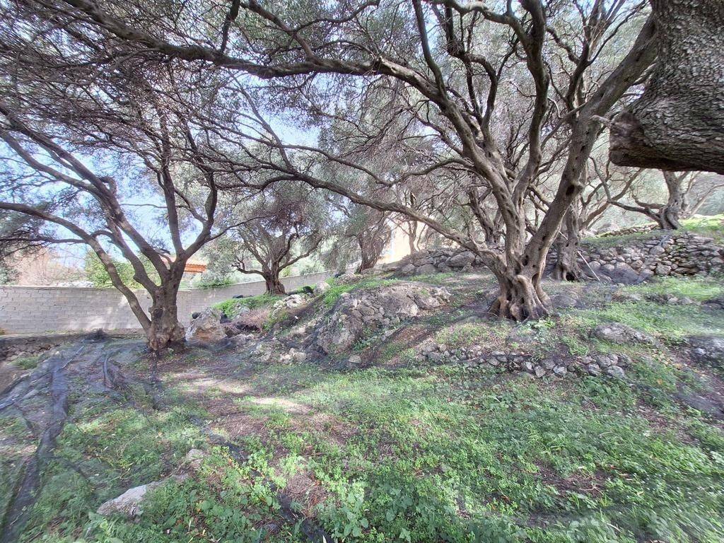 Plot - Grekodom 62632|964413