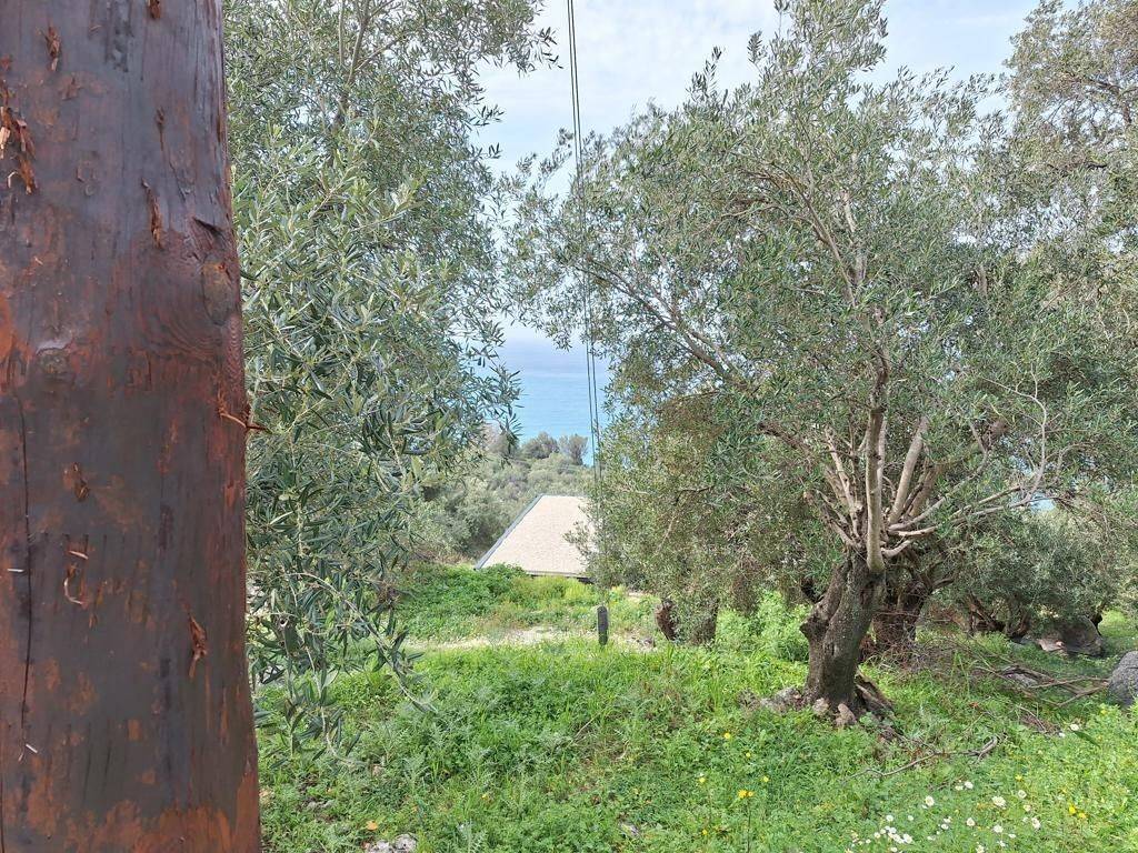 Plot - Grekodom 62632|964419