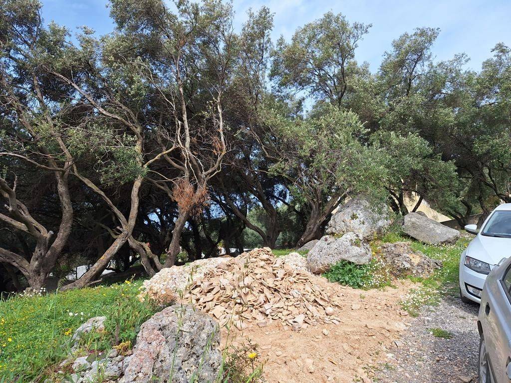 Plot - Grekodom 62632|964418