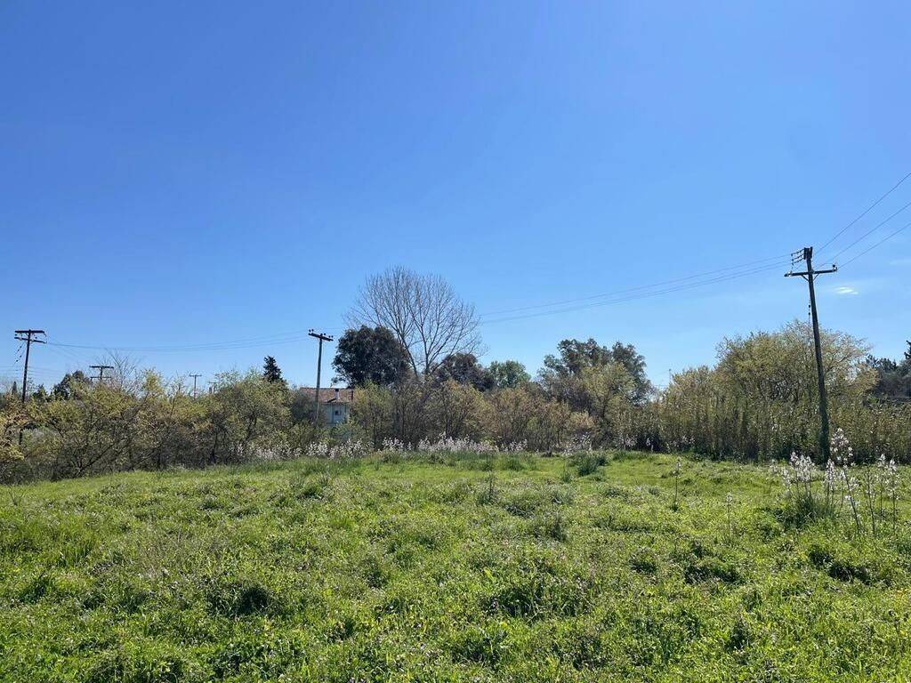 Plot - Grekodom 62687|966801