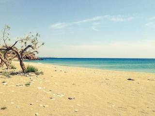 Hotel - Grekodom 63000|976449