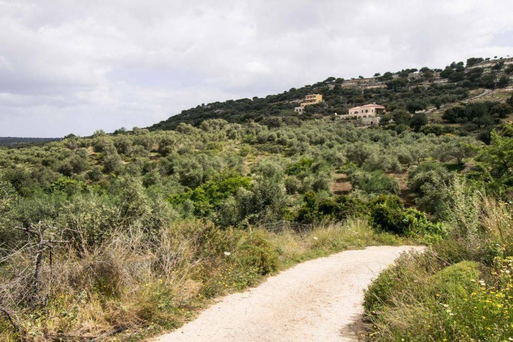 Plot - Grekodom 62016|987050