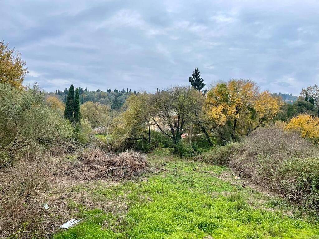 Apartment - Grekodom 65076|1036746