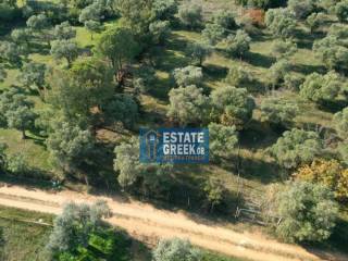 ★ Quiet area ★ With drinking water ★ No residential construction ★ 