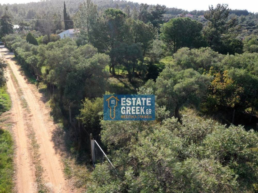 ★ Quiet area ★ With drinking water ★ No residential construction ★ 