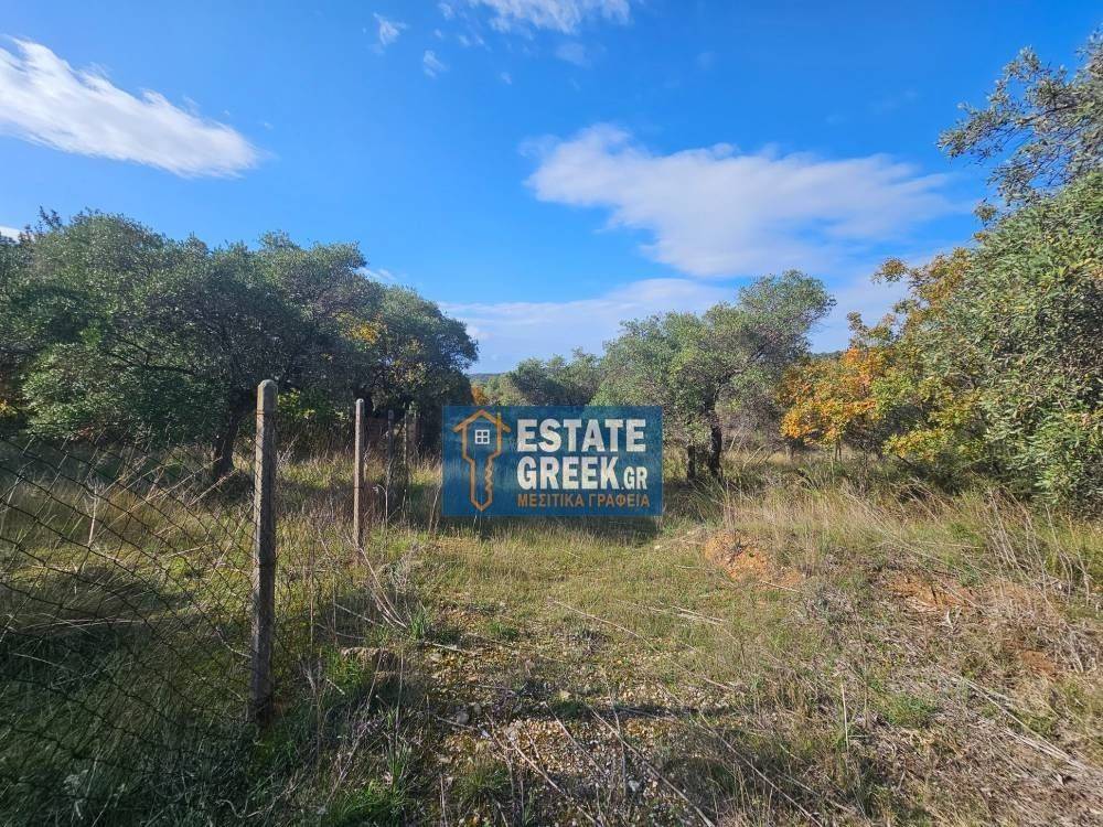 ★ Quiet area ★ With drinking water ★ No residential construction ★ 