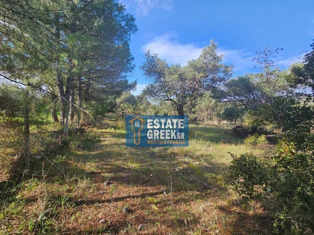 ★ Quiet area ★ With drinking water ★ No residential construction ★ 