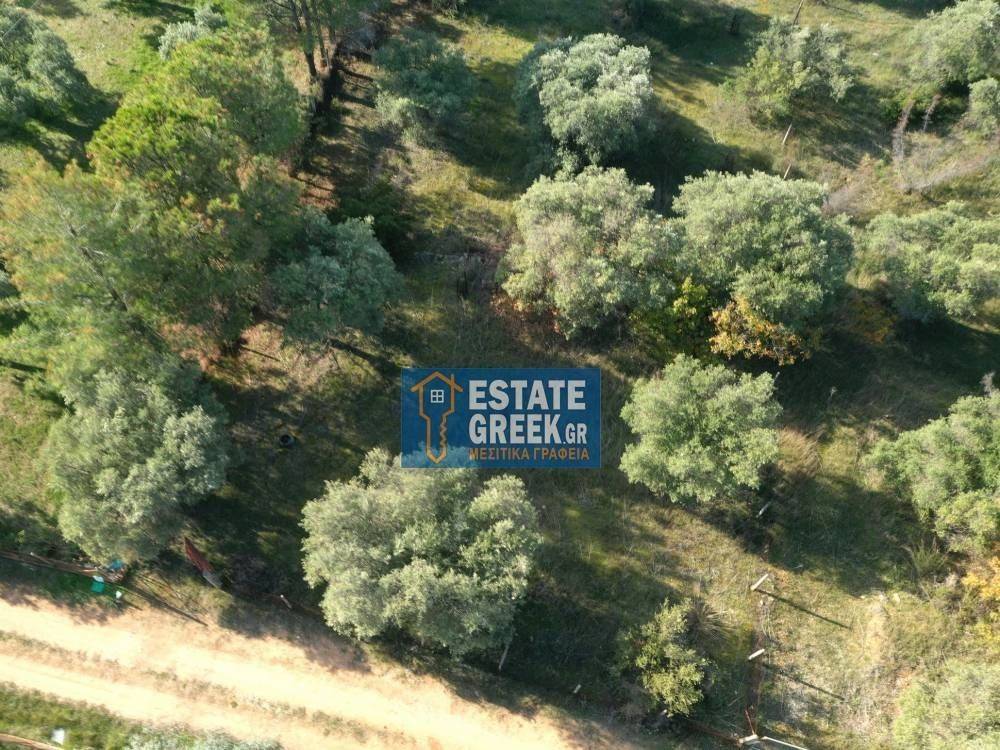 ★ Quiet area ★ With drinking water ★ No residential construction ★ 