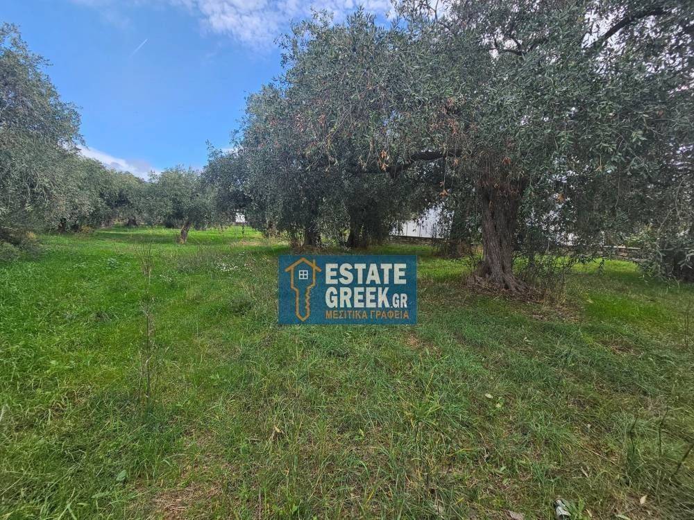 ★ Quiet area ★ With drinking water ★ No residential construction ★ 