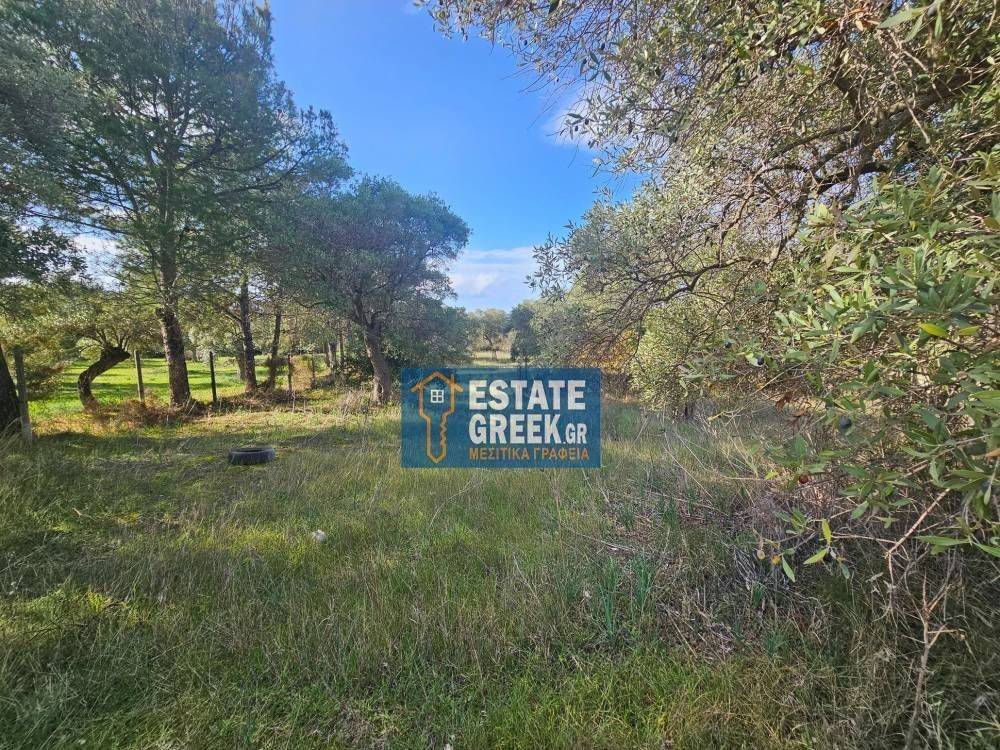 ★ Quiet area ★ With drinking water ★ No residential construction ★ 