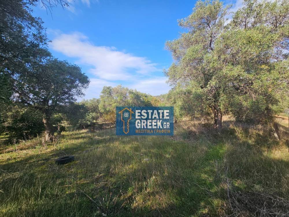 ★ Quiet area ★ With drinking water ★ No residential construction ★ 