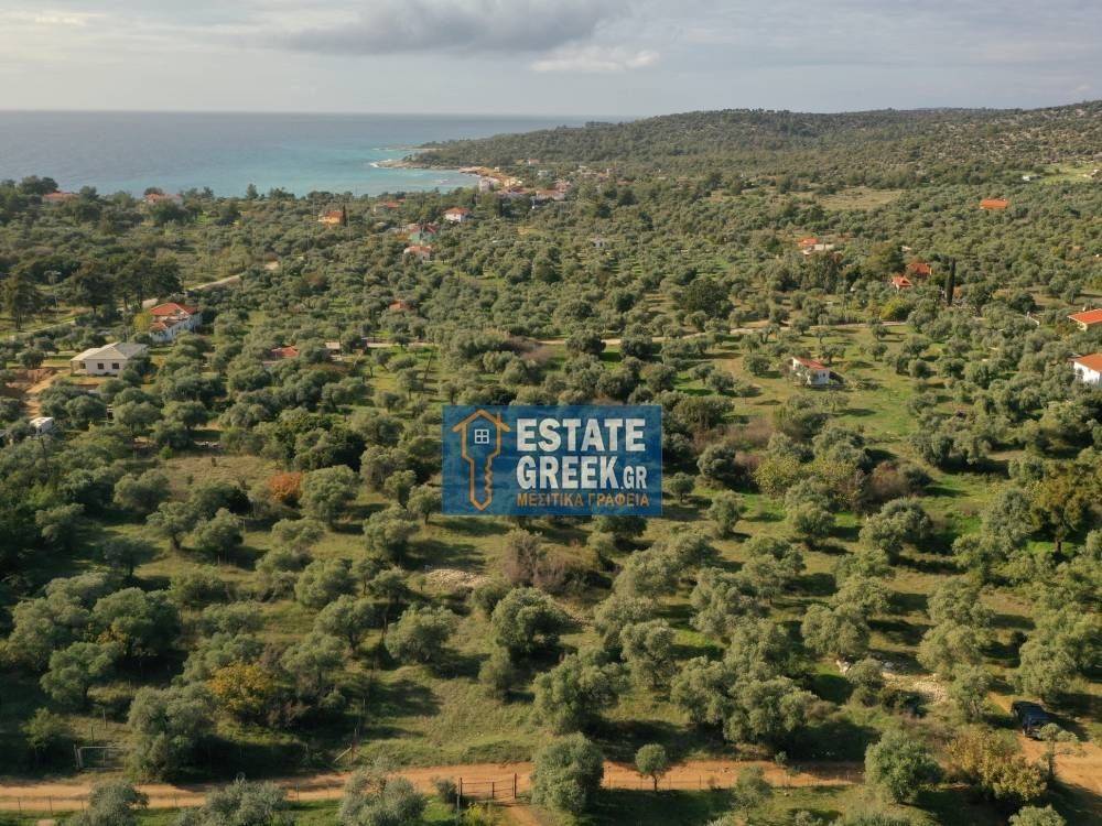 ★ Quiet area ★ With drinking water ★ No residential construction ★ 