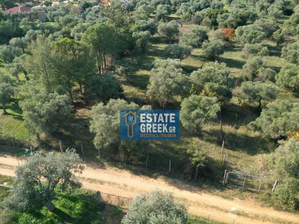 ★ Quiet area ★ With drinking water ★ No residential construction ★ 