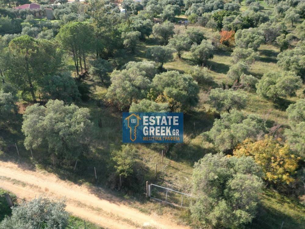 ★ Quiet area ★ With drinking water ★ No residential construction ★ 