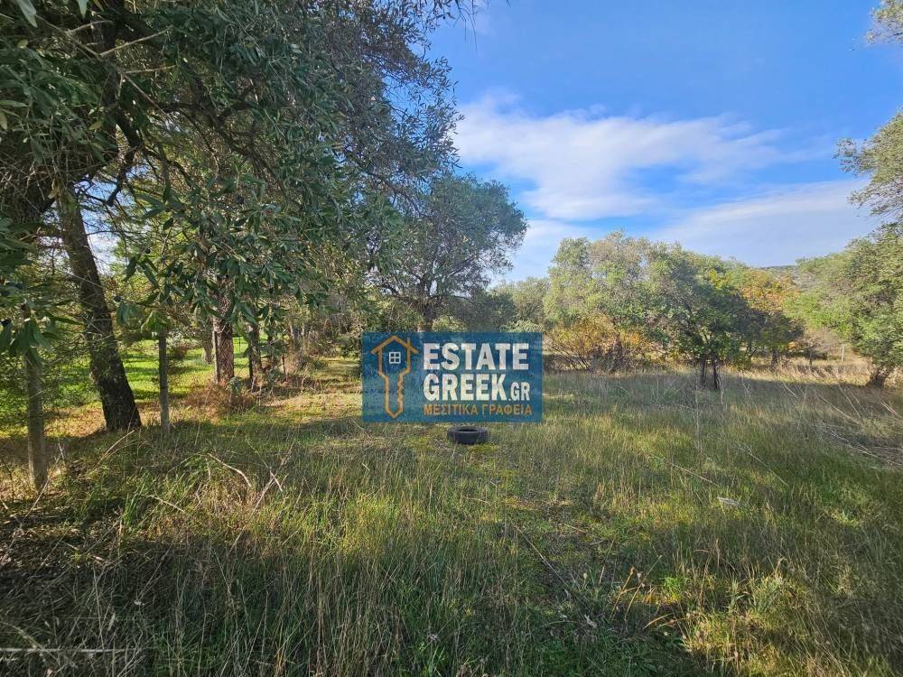 ★ Quiet area ★ With drinking water ★ No residential construction ★ 