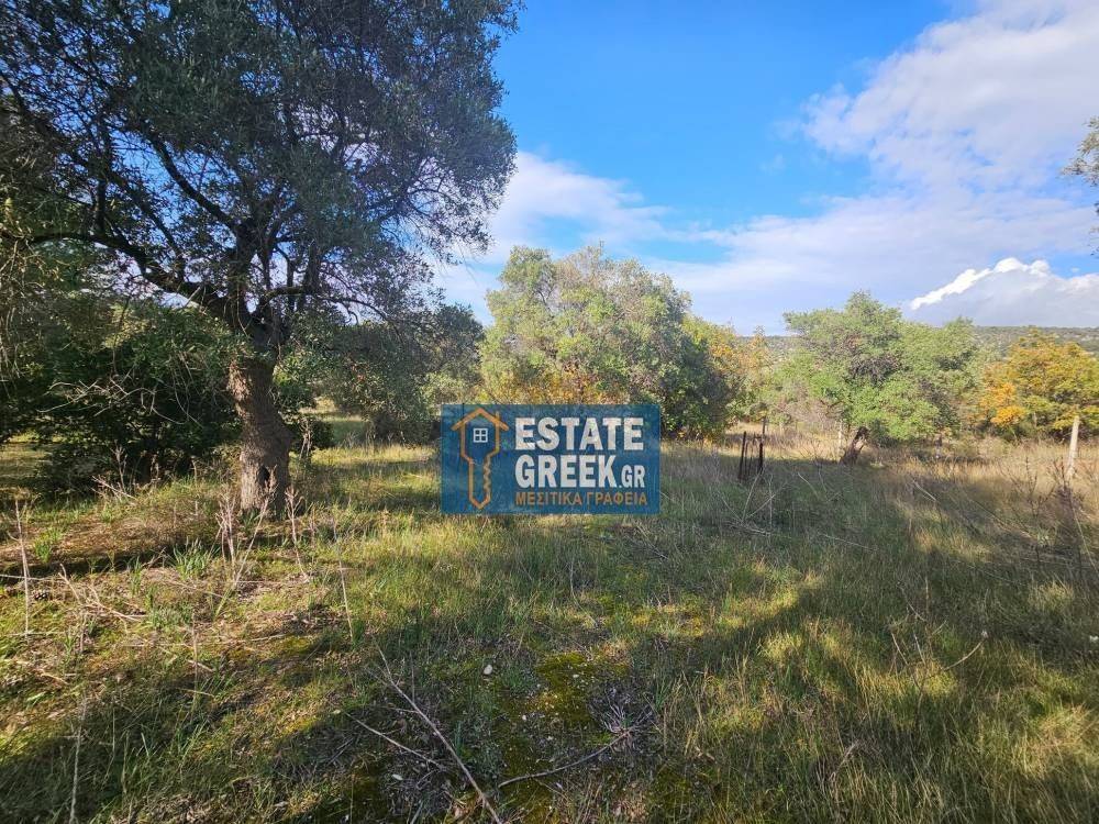 ★ Quiet area ★ With drinking water ★ No residential construction ★ 