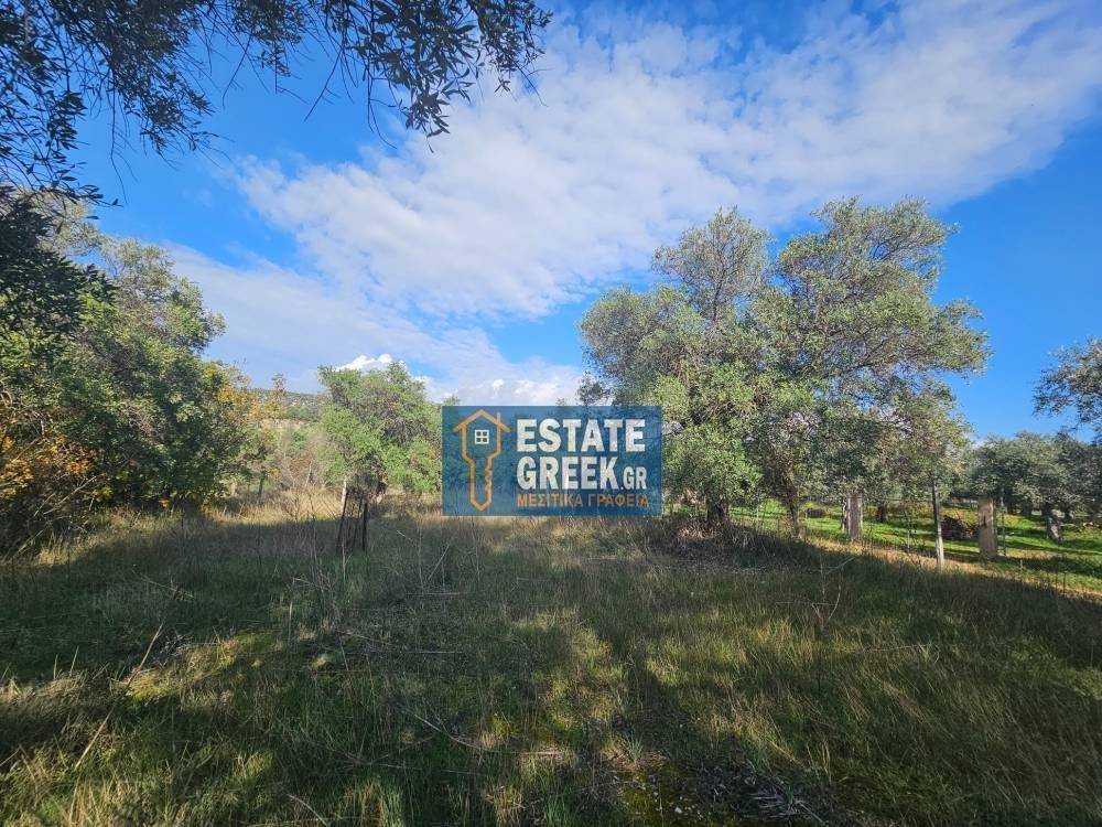 ★ Quiet area ★ With drinking water ★ No residential construction ★ 