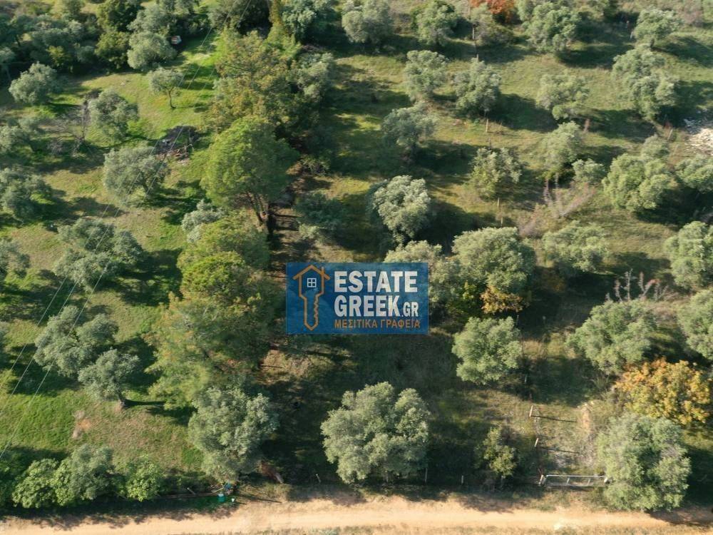 ★ Quiet area ★ With drinking water ★ No residential construction ★ 