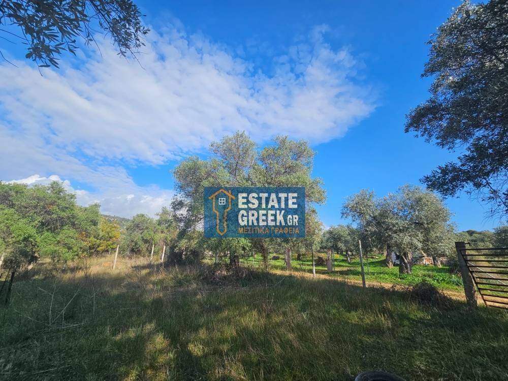 ★ Quiet area ★ With drinking water ★ No residential construction ★ 