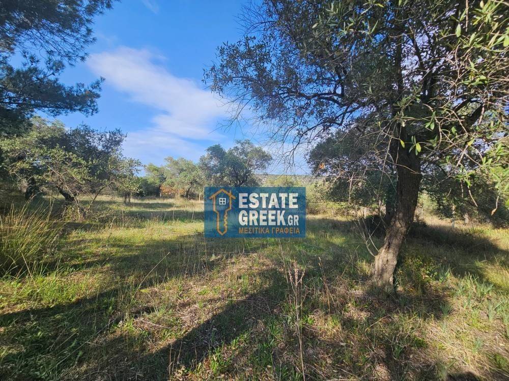 ★ Quiet area ★ With drinking water ★ No residential construction ★ 