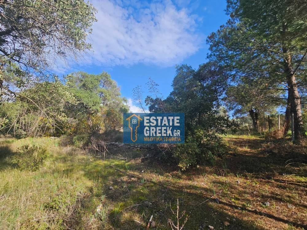 ★ Quiet area ★ With drinking water ★ No residential construction ★ 