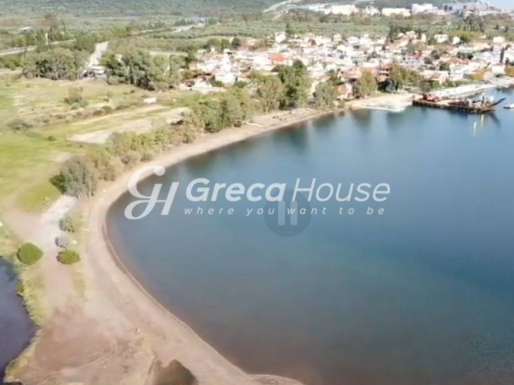 Oικόπεδο στην θαλασσα προς πωληση Φθιώτιδα 