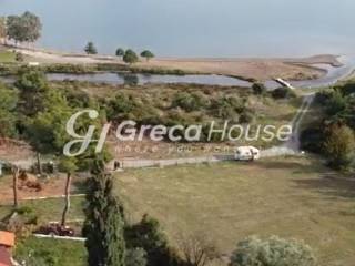 Oικόπεδο στην θαλασσα προς πωληση Φθιώτιδα 