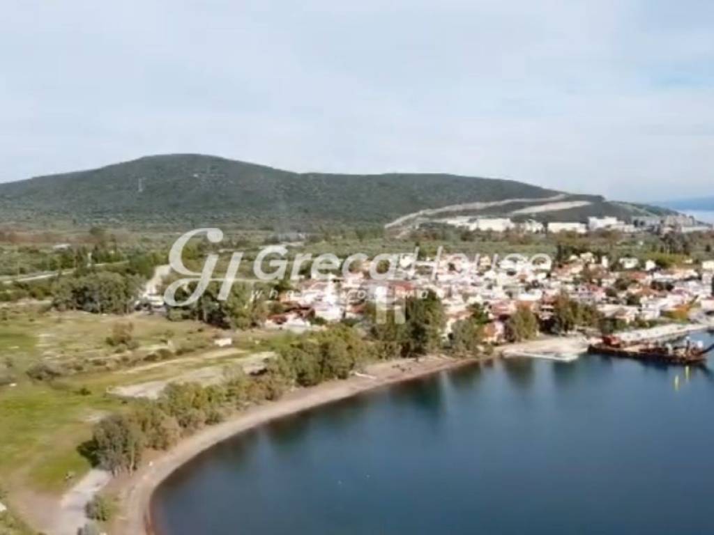 Oικόπεδο στην θαλασσα προς πωληση Φθιώτιδα 