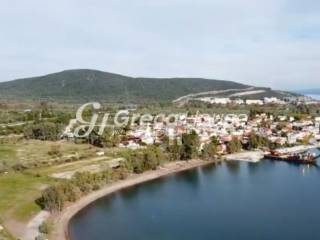 Oικόπεδο στην θαλασσα προς πωληση Φθιώτιδα 