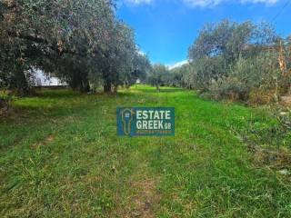 ★ 20m from the sea ★ Ideal for a hotel ★ On 2 roads ★