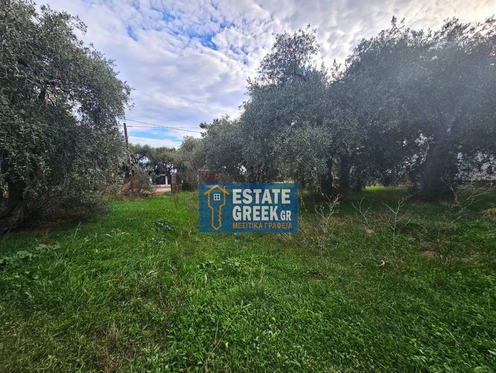 ★ 20m from the sea ★ Ideal for a hotel ★ On 2 roads ★