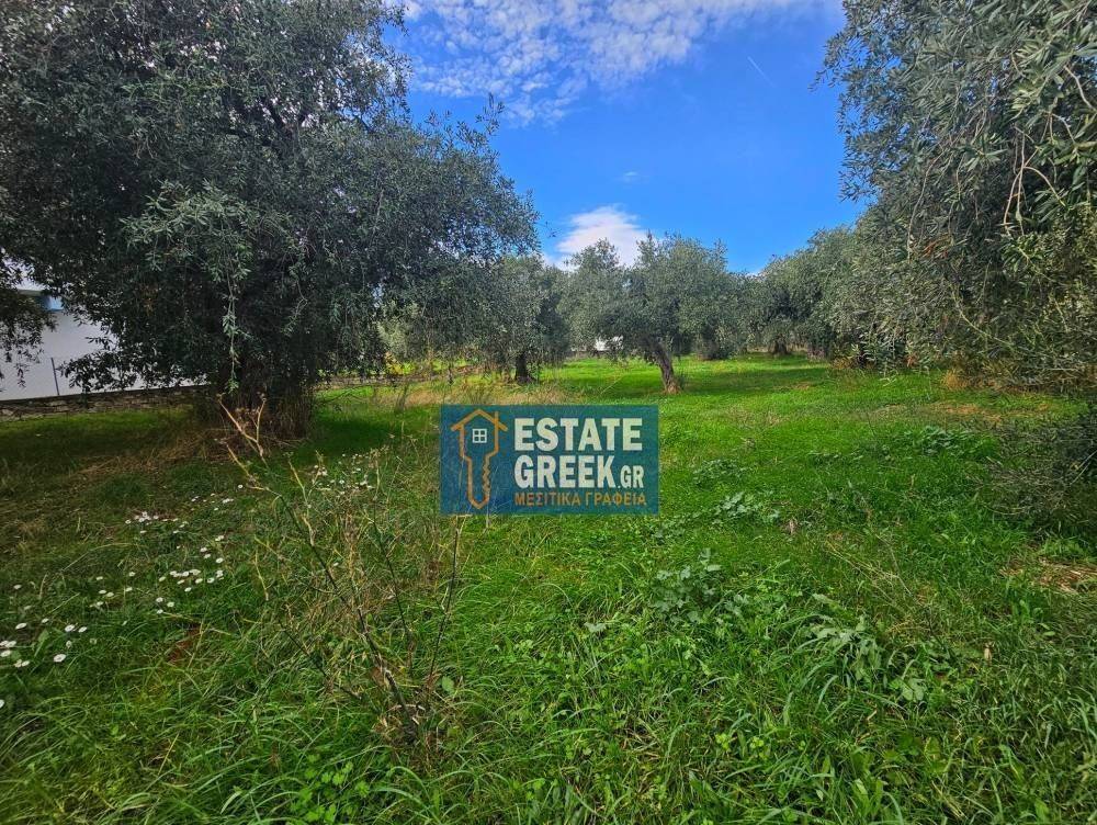 ★ 20m from the sea ★ Ideal for a hotel ★ On 2 roads ★