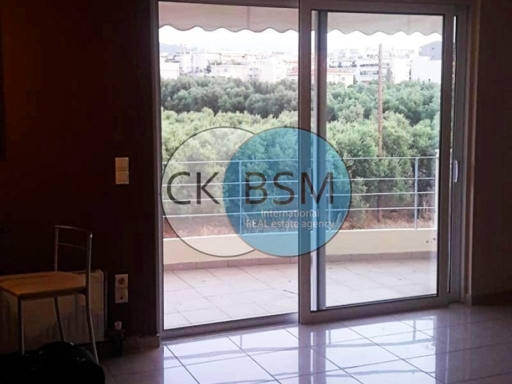 Άποψη σαλονιού - κουζίνας / Living-room - kitchen view