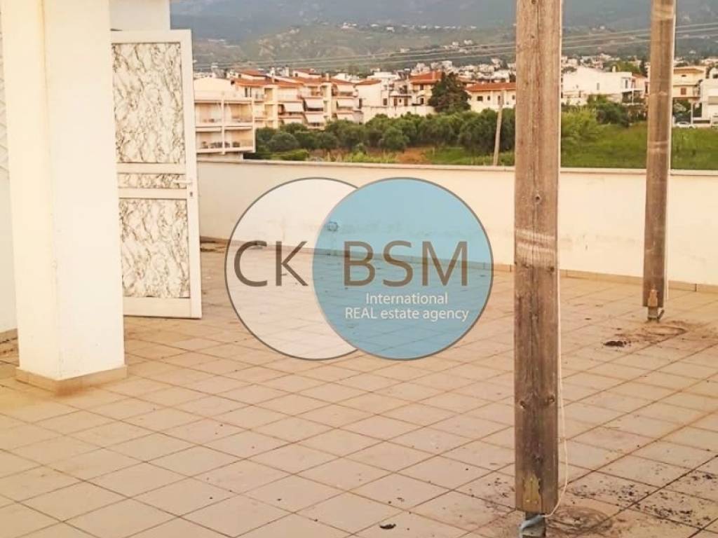 Τμήμα ταράτσας αποκλειστικής χρήσης / Roof top terrace - exc