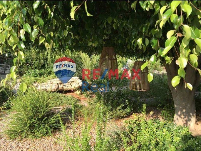 Ύπαρξη ανθρώπου