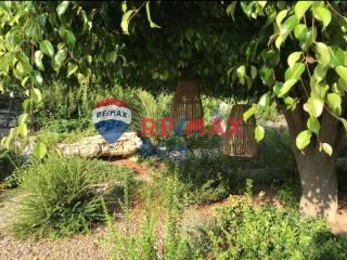 Ύπαρξη ανθρώπου