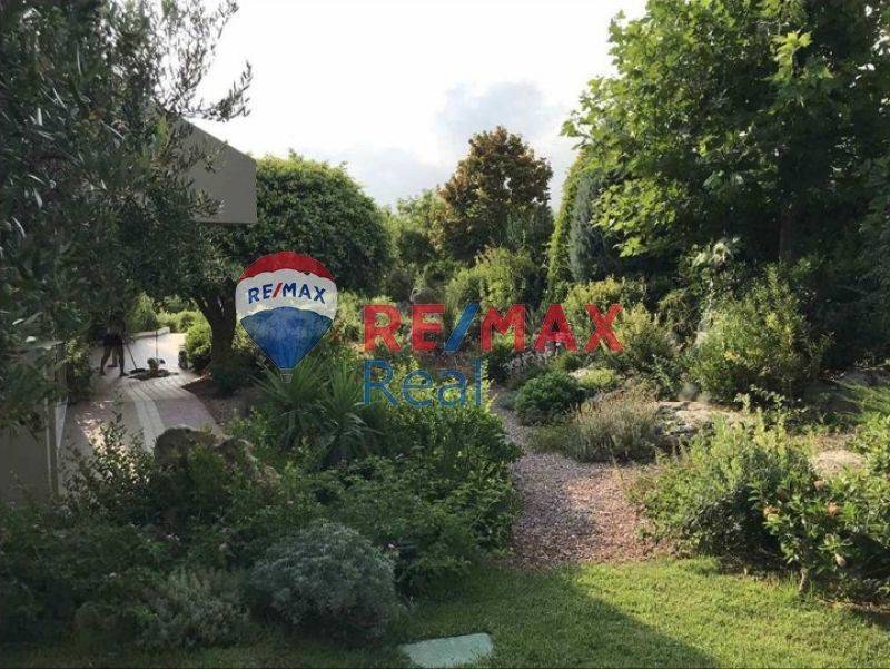 Ύπαρξη ανθρώπου