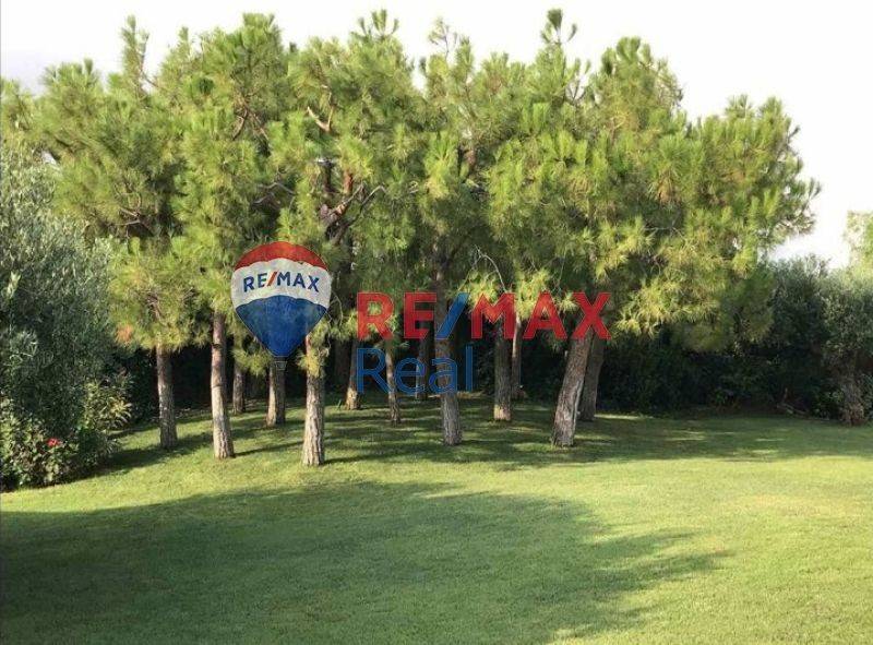 Ύπαρξη ανθρώπου