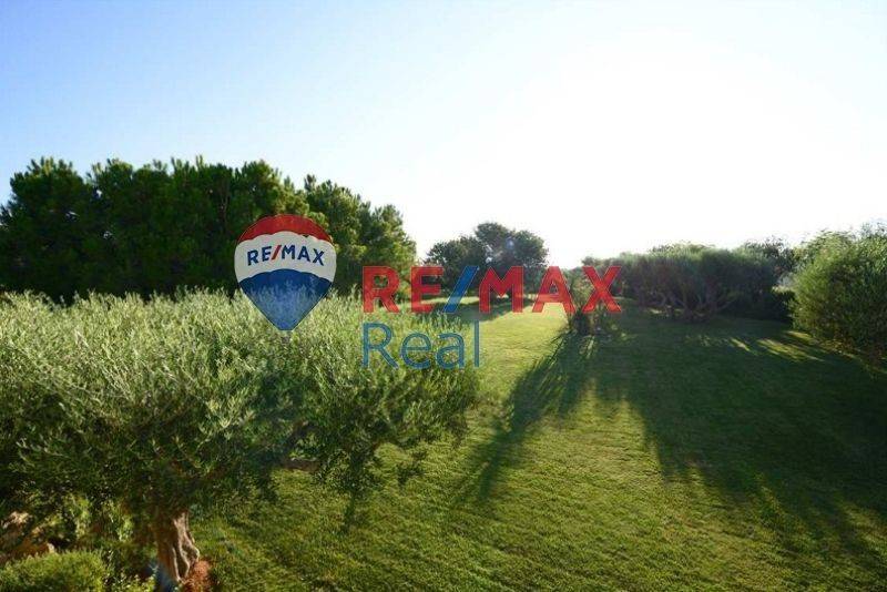 Ύπαρξη ανθρώπου