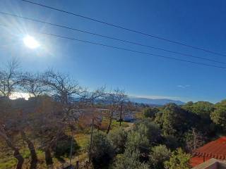 THEA APO TO MPALKONI