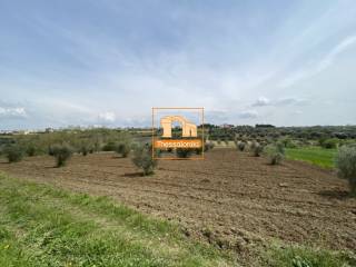 Μεσημέρι, Αγροτεμάχιο, 4.100 τ.μ.