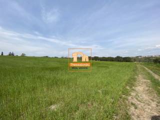 Μεσημέρι, Αγροτεμάχιο, 4.020 τ.μ.