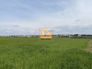 Μεσημέρι, Αγροτεμάχιο, 33.636 τ.μ.