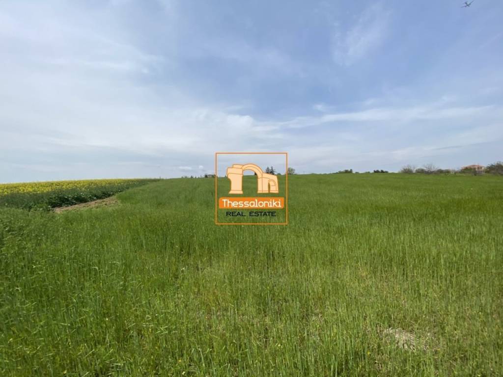 Μεσημέρι, Αγροτεμάχιο, 33.636 τ.μ.