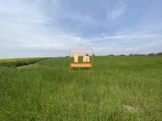 Μεσημέρι, Αγροτεμάχιο, 33.636 τ.μ.